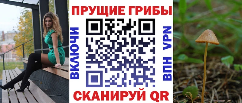 Галлюциногенные грибы MAGIC MUSHROOMS  Купить где  Павловский Посад 